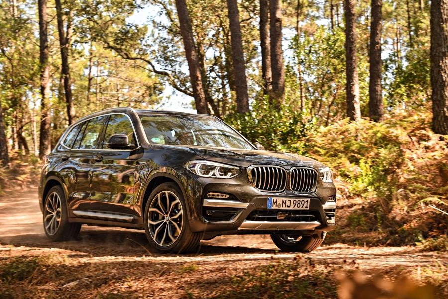  BMW X3 xDrive30d xLine (G01) 2017 года  (WW) (фото 121 из 178)